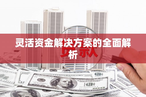 凤城灵活资金解决方案的全面解析