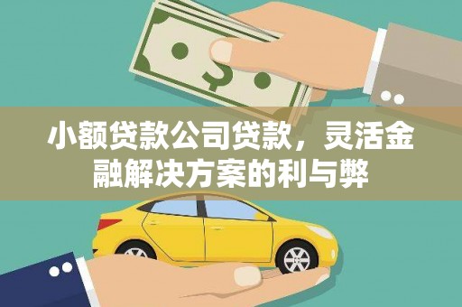 湖内小额贷款公司贷款，灵活金融解决方案的利与弊